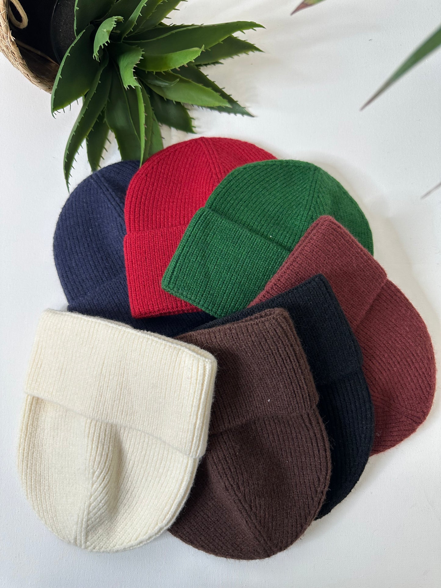 CAPPELLO BASICO                   + COLORI
