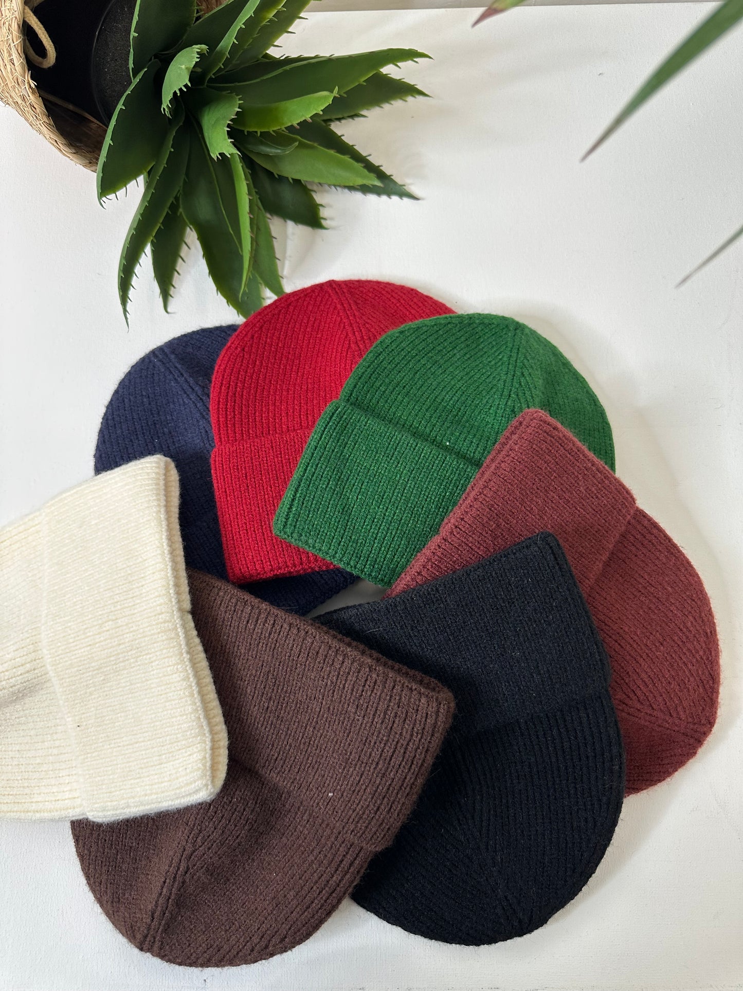 CAPPELLO BASICO                   + COLORI